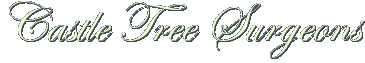 Castle Tree Surgeons